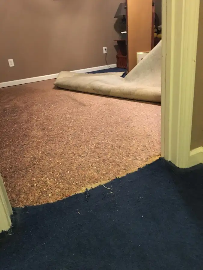 Carpet pad removal revealing water damage during Water Mitigation Services in South Hadley