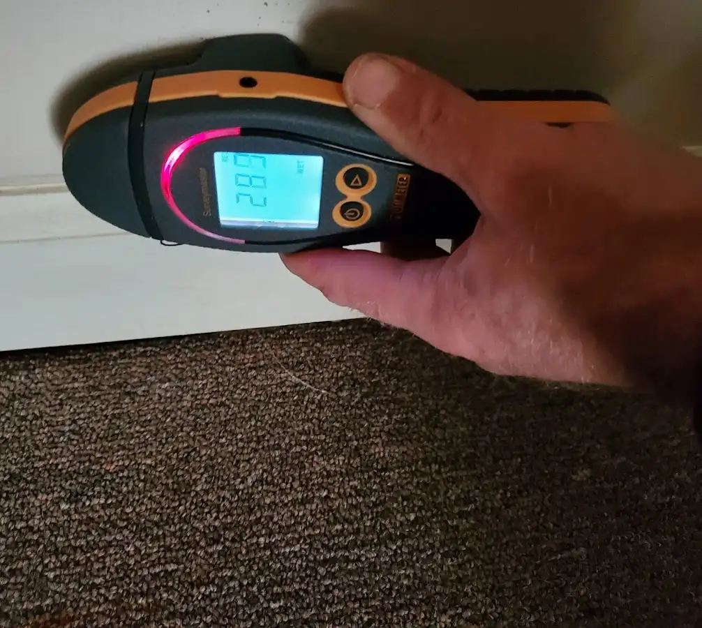 Moisture detection at baseboard during Mold Inspection & Testing in South Hadley